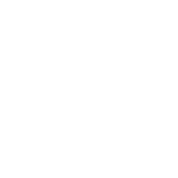 PrattWhit-White